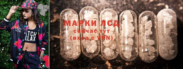 МДПВ Вяземский