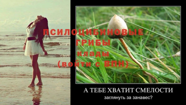 МДПВ Вяземский