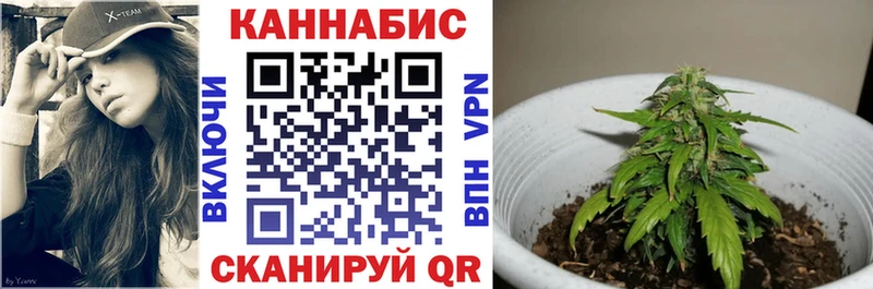 МАРИХУАНА конопля  Володарск 